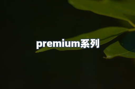 premium系列